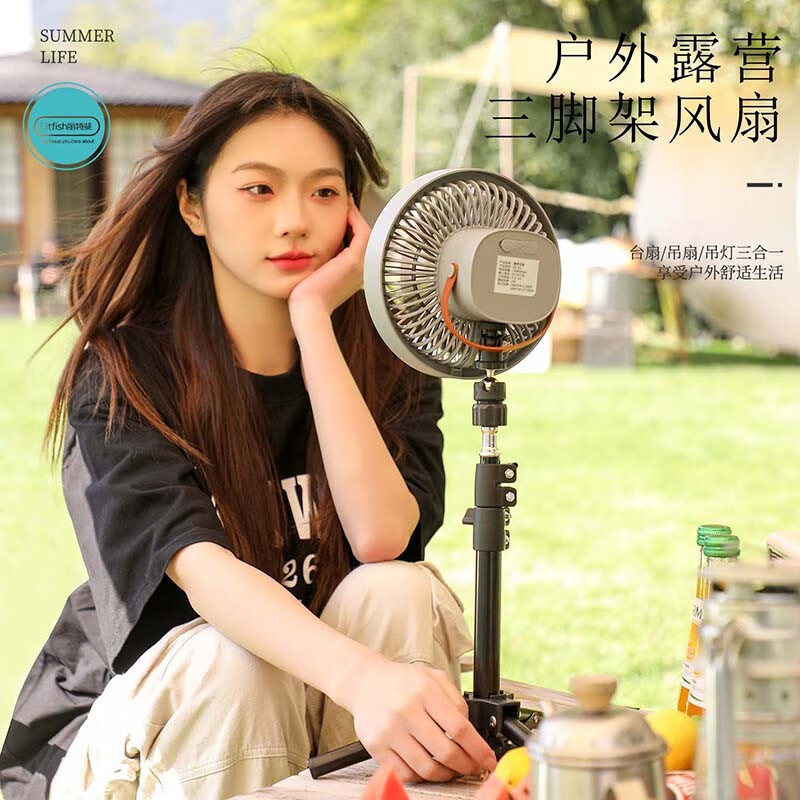 丽特斐 便携式无线电风扇ZK-01 10000mAh高清大图