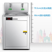 德玛仕(DEMASHI) 直饮水机 商用烧水机 学校幼儿园开水器 开水机大型不锈钢 直饮机商用 KS-18LT-2W台式