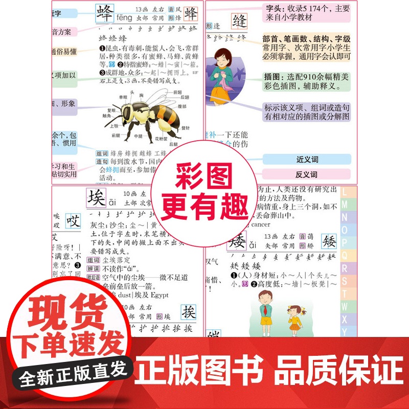 正版2024年彩图版 字典小学生专用 汉语词典 全功能新华字典新版大字人教版儿童版新编学生汉语大全多功能字词典词语最12高清大图