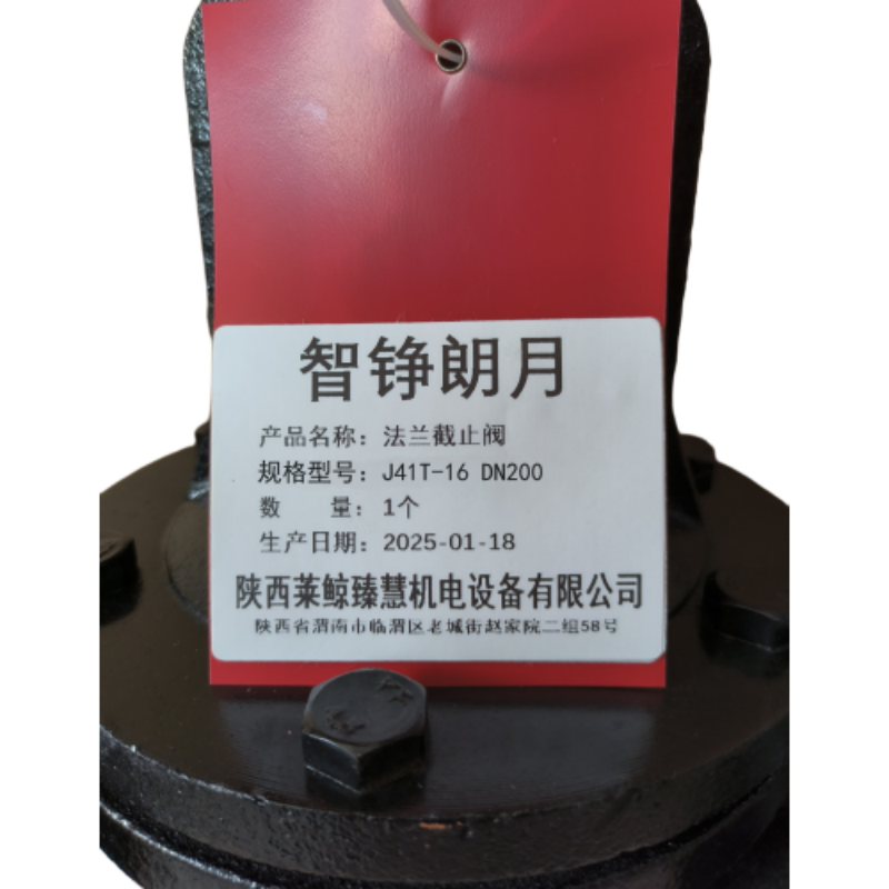 智铮朗月 法兰截止阀J41T-16 DN200 个高清大图