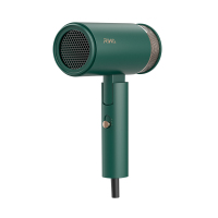 雷瓦(RIWA) 千万级负离子电吹风 RC-7800