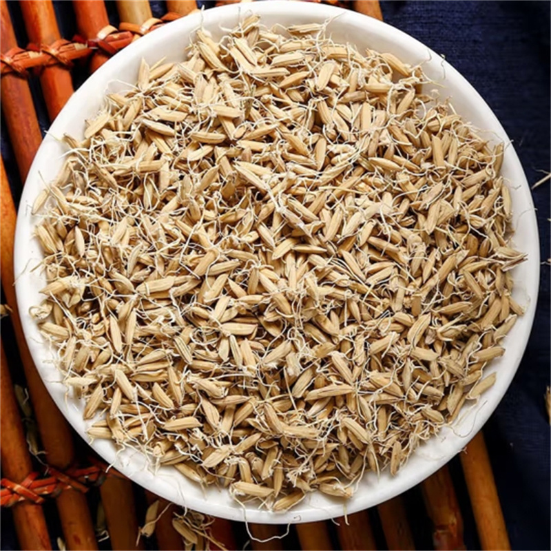 生麦芽甄选生麦芽官方店大麦芽精选生麦芽泡水熟麦芽谷芽可搭通草高清大图