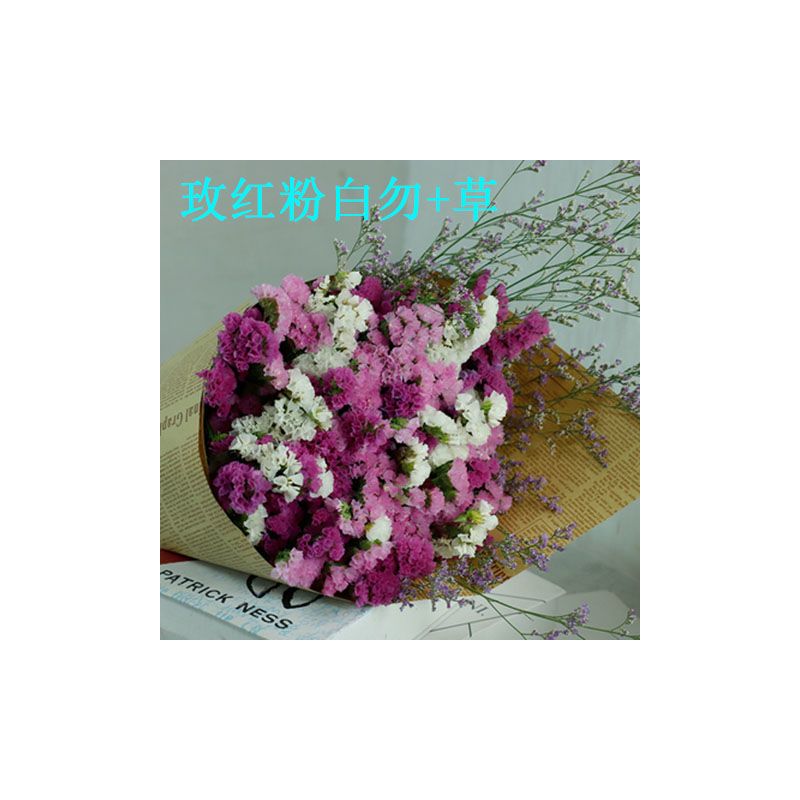 云南勿忘我干花花束 真花客厅装饰花束家居摆设小清新ins摆件装饰|33支玫红+粉+白+草 不带篮