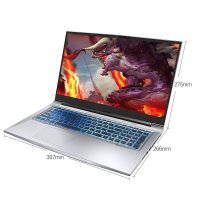 机械革命（MECHREVO）蛟龙P AMD 17.3英寸大屏游戏本笔记本电脑定制版(八核R7-4800H 8G 512GB固态 RTX2060 6G独显 72高色域 144HZ)银