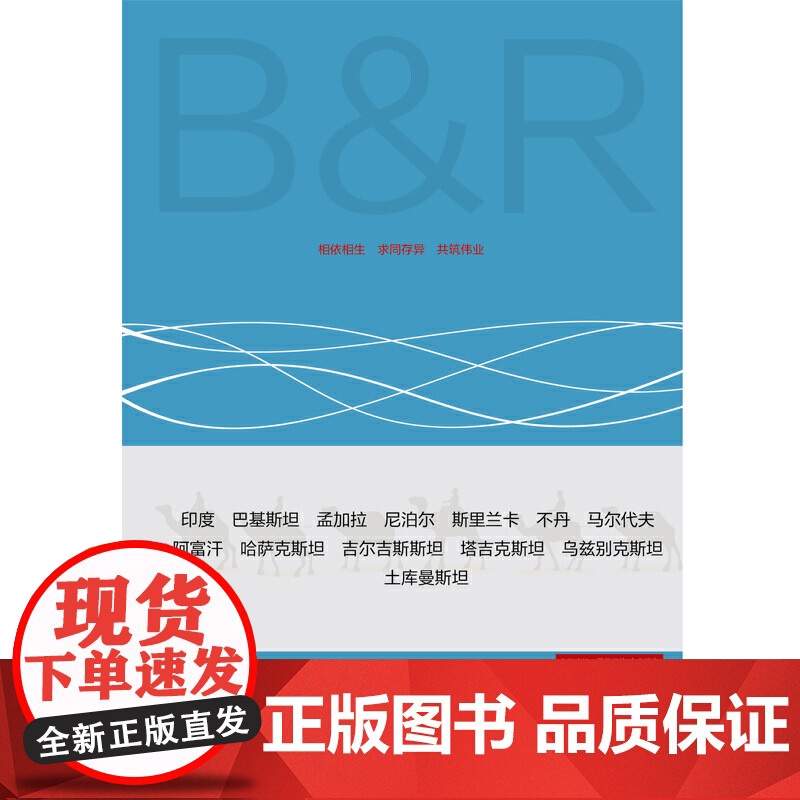 民营企业“一带一路”实用投资指南:南亚八国和中亚五国高清大图
