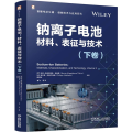 钠离子电池：材料、表征与技术（下卷）