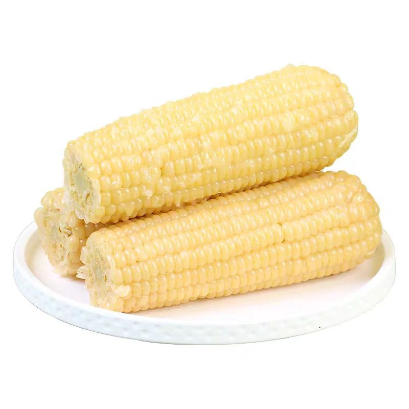 [西沛生鲜]新鲜白糯玉米 10根 单根260-350g 黏玉米甜糯玉米袋装粘玉米黄糯玉米现摘高清大图