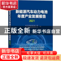 新能源汽车动力电池年度产业发展报告(2021)