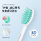 飞利浦(PHILIPS) 电动牙刷 成人声波震动牙刷 净力刷 2种模式 温和清洁 白色 HX2431
