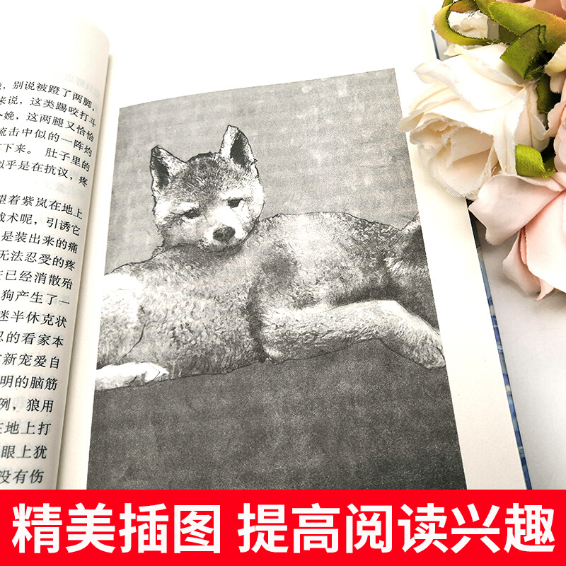 后一头战象沈石溪动物小说单本沈石溪的书正版少年儿童出版社儿童文学儿童书籍四五六年级必读课外书