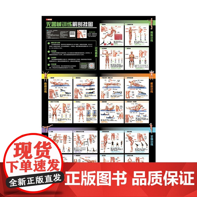 无器械训练解剖挂图 预计发货07.28高清大图