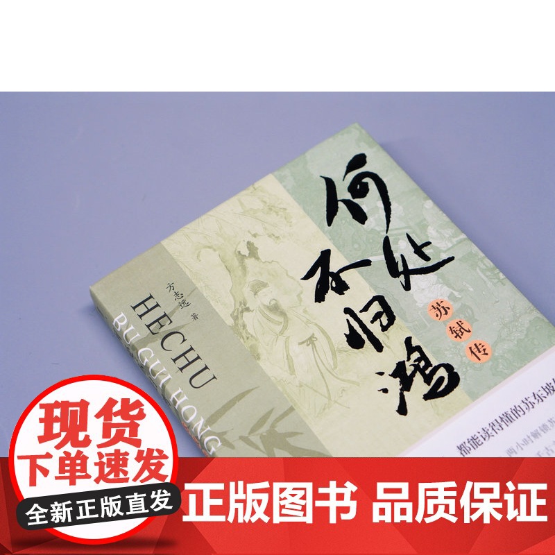 大学问 何处不归鸿:苏轼传 方志远/著 历史传记 苏轼 东坡 传记文学 广西师范大学出版社高清大图