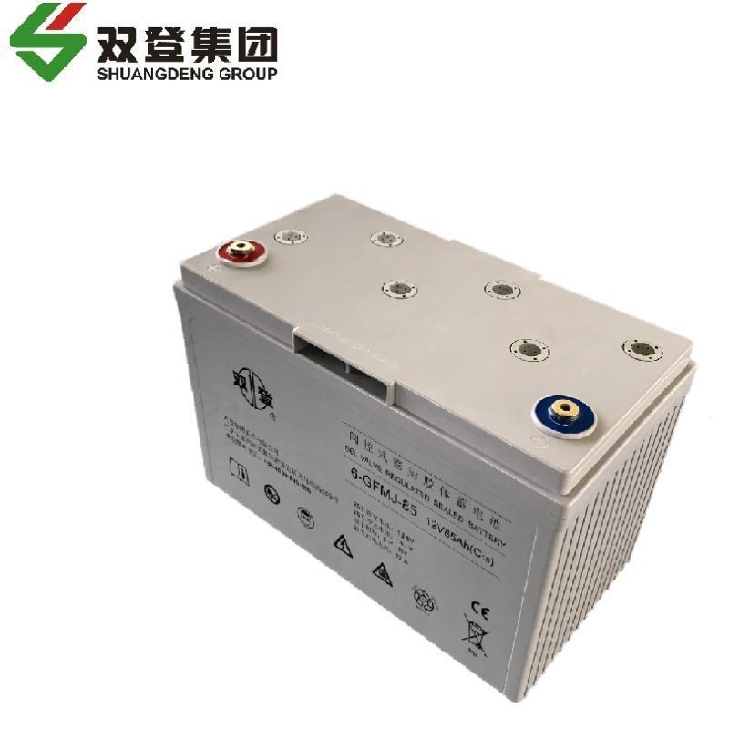 双登免维护胶体蓄电池6-GFMJ-90 含配件