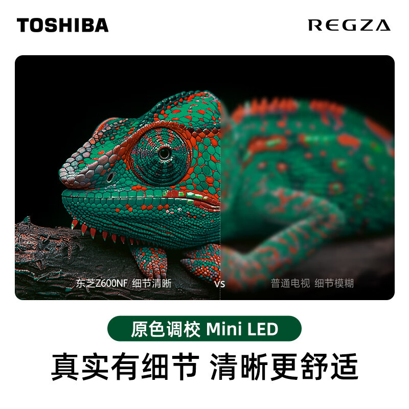东芝电视65Z600NF 65英寸 Mini LED 4K 144Hz超清DeepSeek AI智能平板电视机