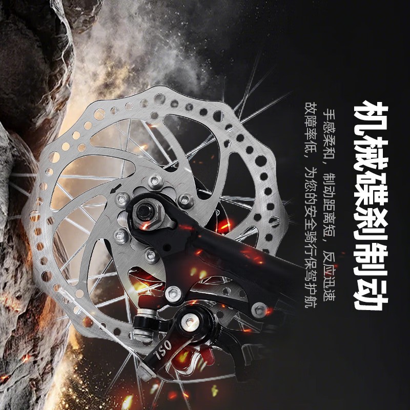 凤凰电动自行车T2000 48V20Ah锂电续航80km 无刷电机智能助力 防滑减震一体轮 时尚轻便通勤款高清大图