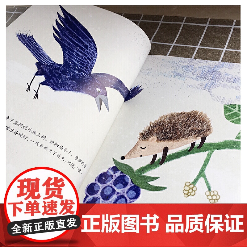 左右为难的刺猬高清大图