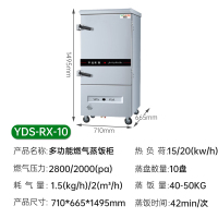 意黛斯(YIDAISI)燃气蒸饭柜YDS-RX-10商用蒸饭车蒸饭箱蒸包机食堂学校餐厅厨房蒸箱蒸柜10盘 天然气/液化气