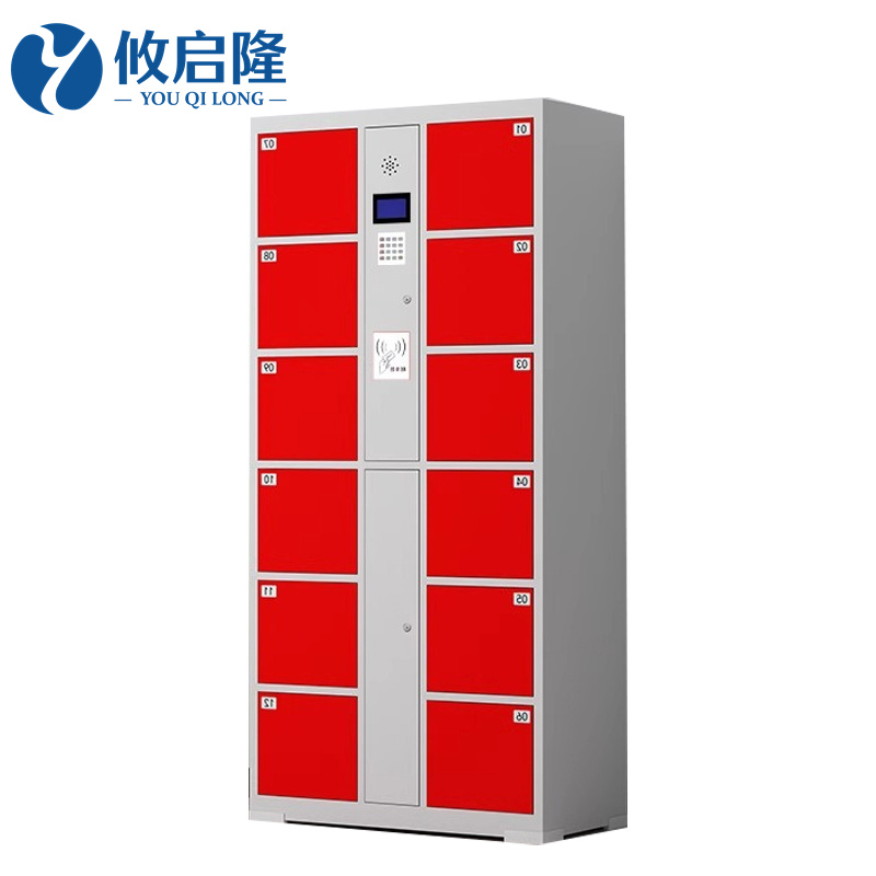 攸启隆12门储存柜850*460*1800mm台高清大图