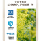雷士照明全光谱护眼吸顶灯IP40防蚊虫现代简约灯具套餐中山灯具