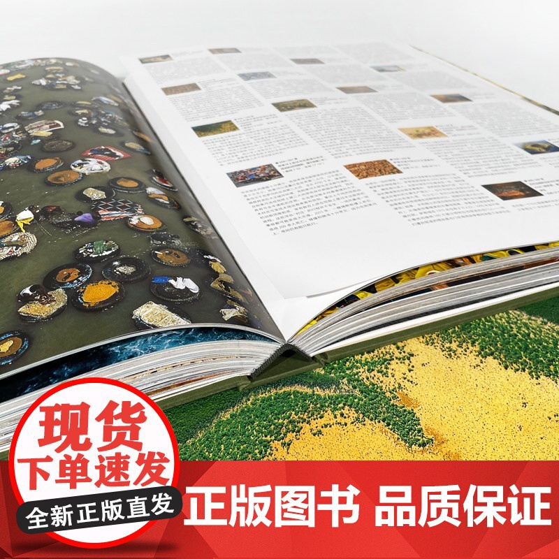 鸟瞰地球:讲述地球的故事 扬·阿尔蒂斯贝特朗著 陈侠译 一次地平线的飞跃之旅 一本地球现状的说明书摄影图集高清大图