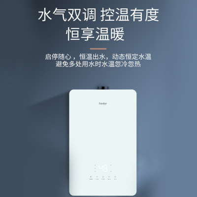 法迪欧燃气热水器JSQ30-16GS（12T）