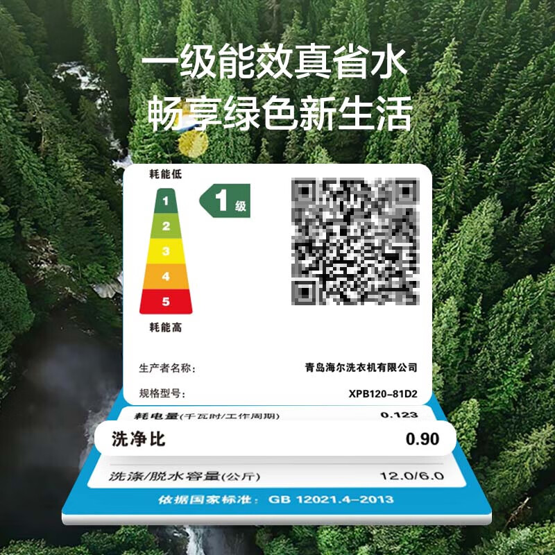 海尔(Haier)12公斤 大容量 双缸洗衣机 半自动 1级能效 宽电压 双电机 XPB120-81D2高清大图