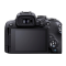佳能(Canon) EOS R10 单机身 微单数码照相机视频直播高清相机 海外版 全新正品