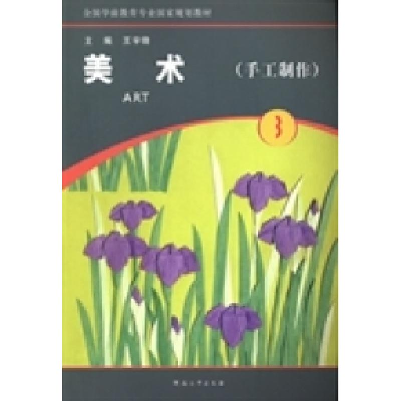 正版新书]美术:第3册:手工制作王宇锋9787564912307高清大图