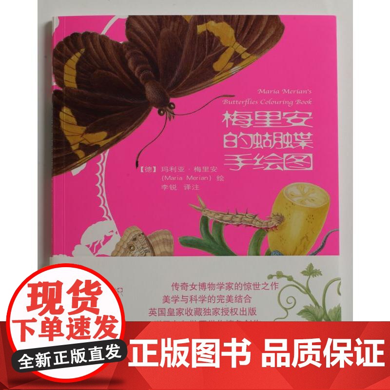 梅里安的蝴蝶手绘图 上海书画出版社 正版书籍高清大图