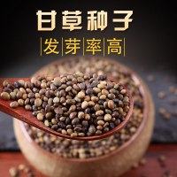甘种子 纯新材种苗新疆红皮甘种苗芽指导种植