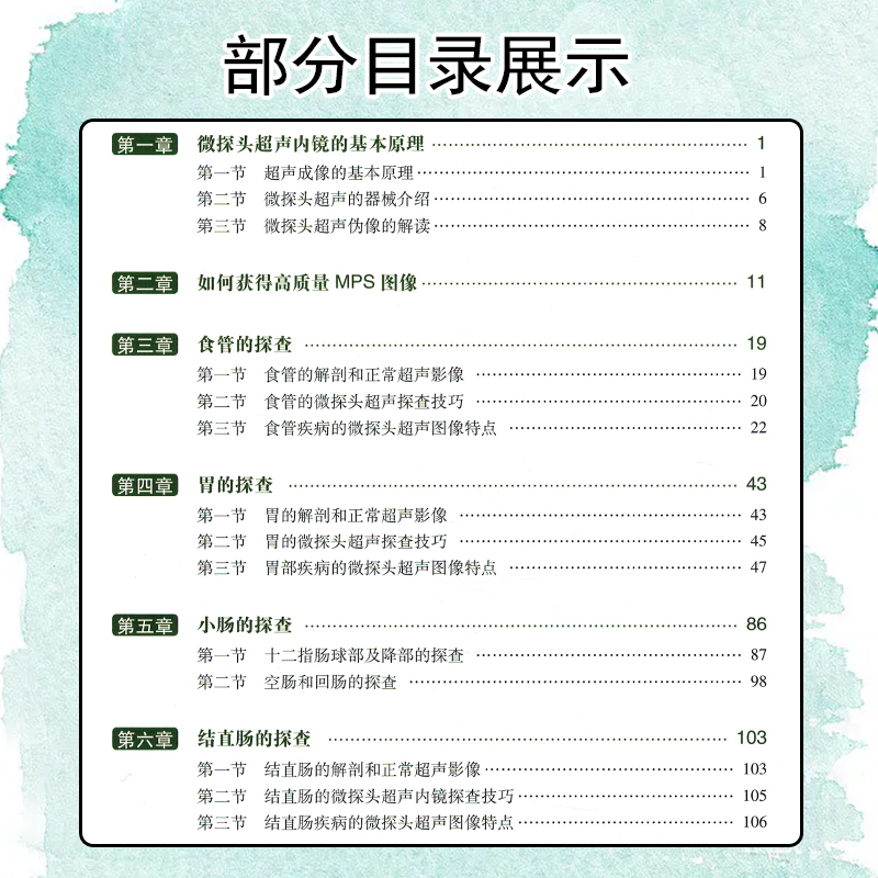 [正版] 微探头超声内镜的临床应用胡端敏诸琦主编真实临床病例超声基本原理内窥镜检超声波诊断内科学 人民卫生出版社978高清大图