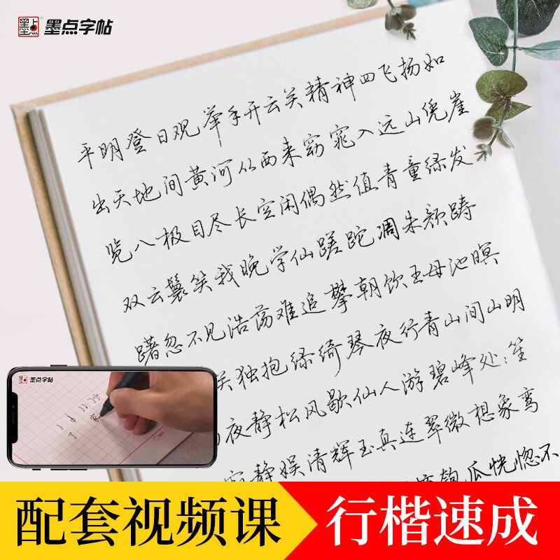 [正版]硬笔书法荆宵鹏行楷字帖硬笔钢笔字帖女生男生初中生高中生大学生成年练字字帖行楷书男初中生入门教程靳霄鹏临摹书法等