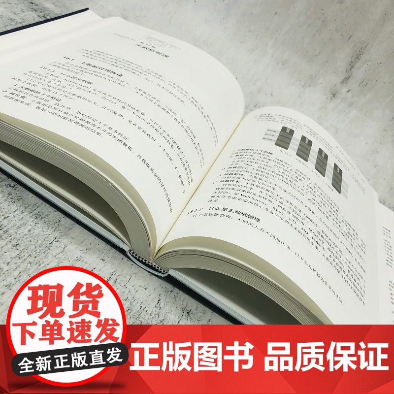 正版 一本书讲透数据治理 战略 方法 工具与实践 用友平台与数据智能团队 用户画像 DAMA 标签 数据管理高清大图