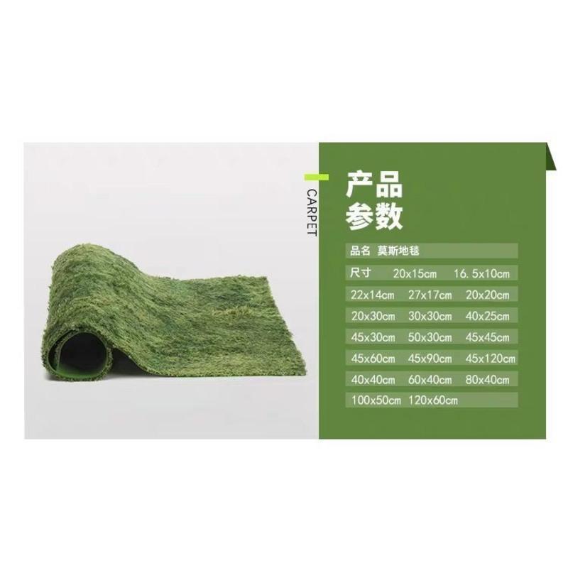 角蛙树蛙垫材莫斯地毯雨林缸造景地垫爬虫饲养箱地垫陆龟蜥蜴垫材 中号饲养盒尺寸22*14.5