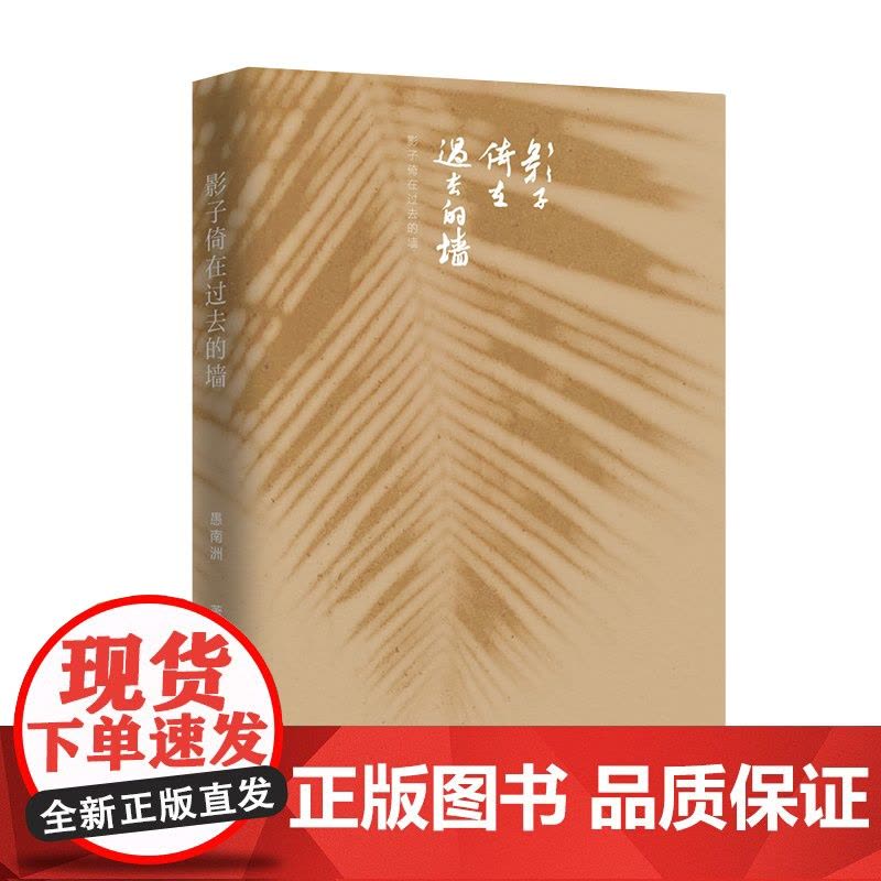 影子倚在过去的墙(诗人愚南洲诗歌精选集) 作家出版社 正版书籍图片