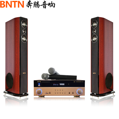 奔腾(BNTN)家庭影院功放音箱2.0套装 卡拉OK电视音响家用ktv落地木箱 838配加州新贵主音箱2只