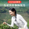 贡苑(GONGYUAN)采特级安吉白茶250g 正宗浙江明前春茶礼盒茶叶自己喝
