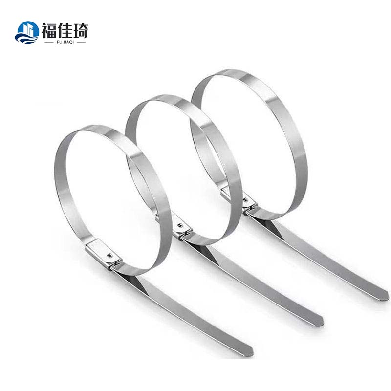 福佳琦 不锈钢扎带 4.6*300mm 根高清大图