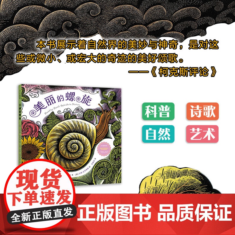 美丽的螺旋 中英双语 走近科学 走进大自然 夜色下的小屋 艺术启蒙高清大图