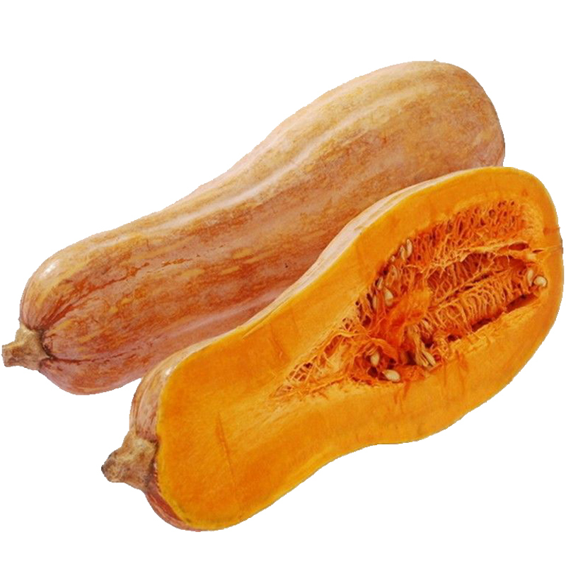 新鲜农家自产粉糯甜老南瓜黄瓤甜南瓜老品种粉糯南瓜新鲜大个45斤新鲜