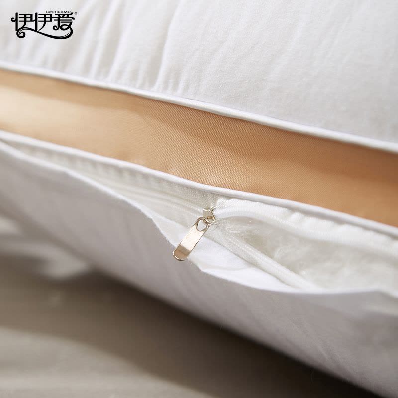 伊伊爱 全棉拼色边皇家酒店枕头枕芯白色图片