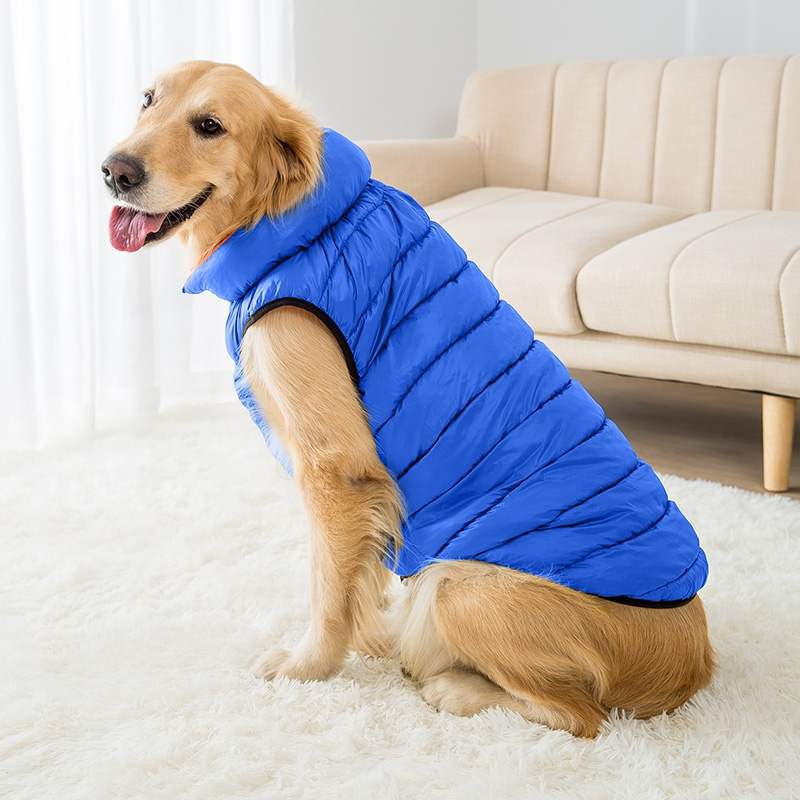 大狗狗衣服秘密金毛柴犬冬拉布拉多萨摩耶中型大型犬马甲