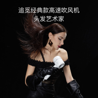 追觅(dreame)智能温控吹风机 智能高频温控 快速干发 恒温护发 负离子顺发 过热保护 送礼甄选电吹风 星空灰