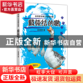 戴领结的鹅