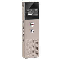 山水（SANSUI）录音笔H--612 16G 金色 专业微型无损录音笔迷你高清 远距降噪智能声控录音