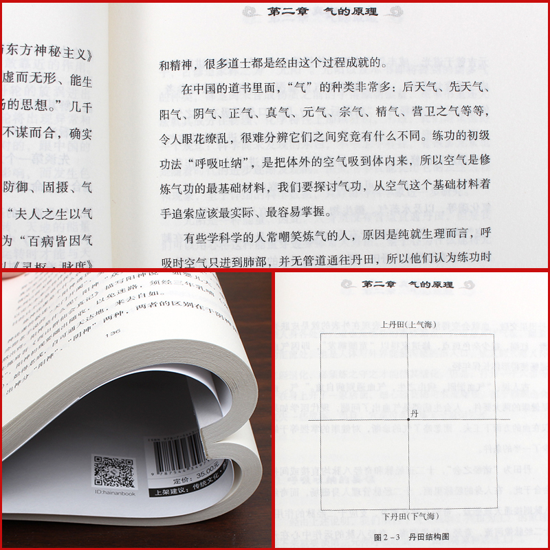 [正版] 道家真气 气功修炼次第 湛若水 传承两千余年的梅花门修炼心得 气功初学者修炼入门指南书籍 道家内丹之道高清大图