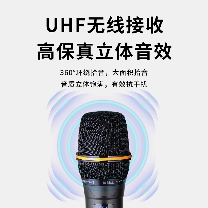 润普Runpu会议音频扩声两分频10英寸低音卡拉OK户外演出活动野外作训带话筒拉杆音箱RP-S-LGF10高清大图