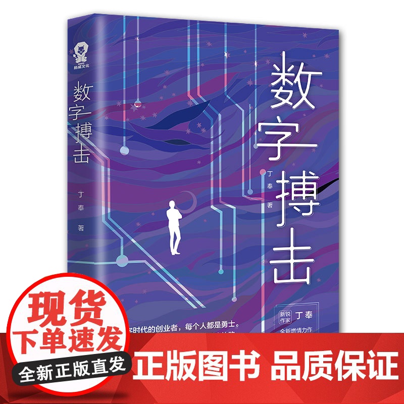 数字搏击 丁奉 太白文艺出版社 正版书籍高清大图