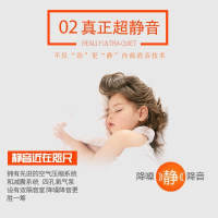 闪电客松宝氧气泵sebo鱼缸增氧机养鱼氧气泵增氧棒小型家用加氧器 SB-848 双孔12W+气石（送全套配件）