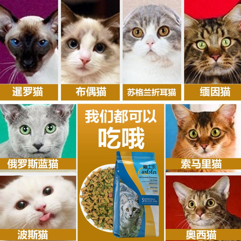 [送试吃装]猫粮10斤5斤1斤海洋鱼味成猫幼猫猫粮10kg通用猫粮食 鱼肉味 5斤装[送试吃装一包]